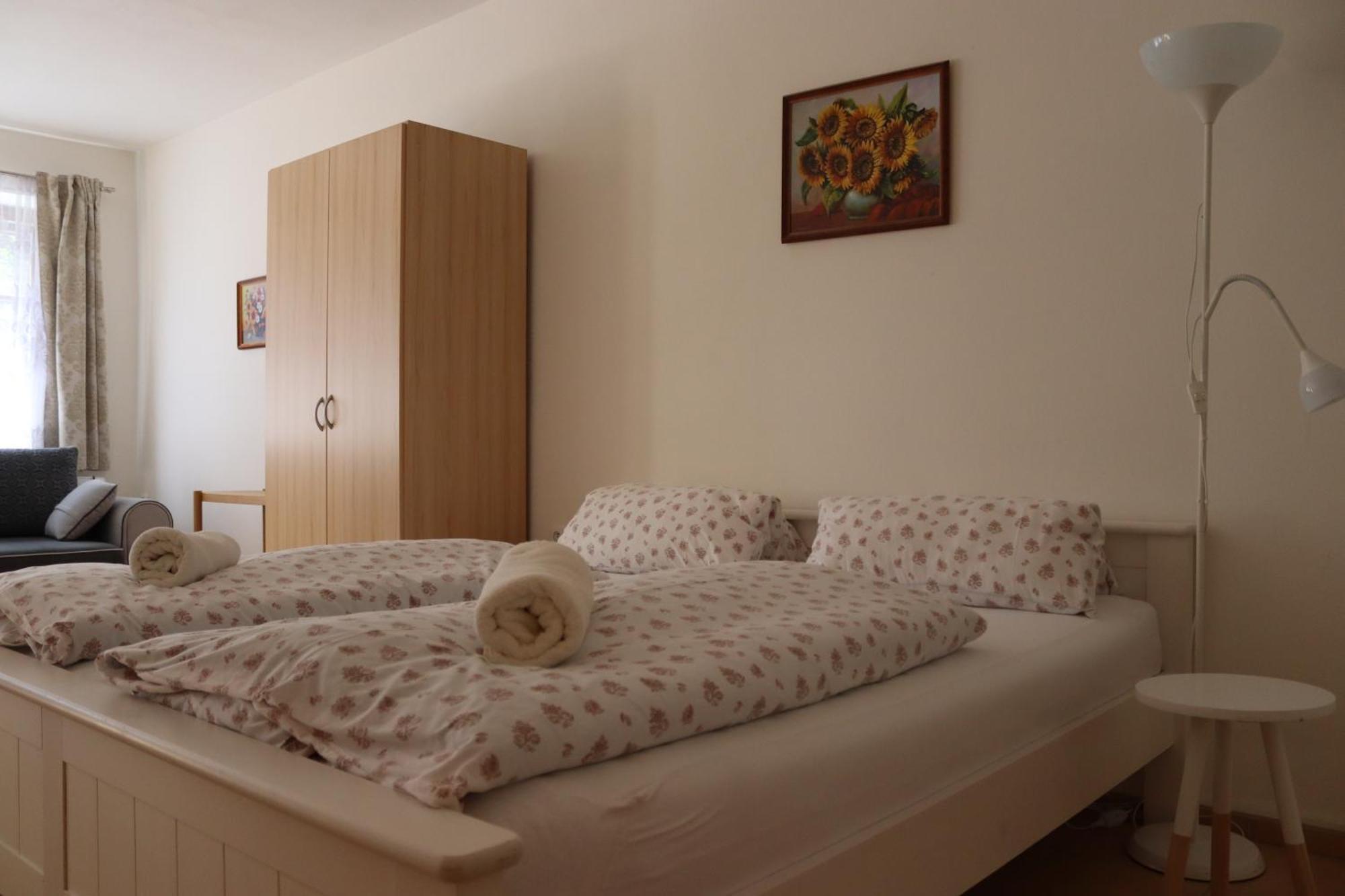 Penzion-Apartman Soucek Jindrichuv Hradec Εξωτερικό φωτογραφία