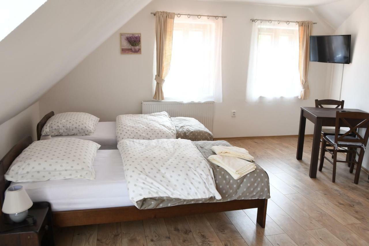 Penzion-Apartman Soucek Jindrichuv Hradec Εξωτερικό φωτογραφία